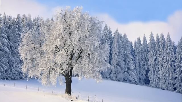 Дома были гости. Гости у них были почти всегда. Всё пьют, а еды совсем нет. Истории из жизни до сле