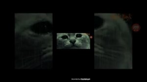 самое грустное видео от которого даже хочется плакать