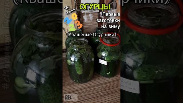 Квашеные Огурцы на зиму, как бочковые, #рецепт огромные #огурцы ?18 июля ?ОГУРЦЫ открытого грунта