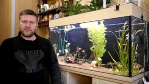 Сколько стоит аквариум