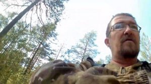 Собираю мох для бани