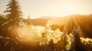 Native American Indian Flute | Destroy All The Negative Energy - Sleep Relax Meditation Music