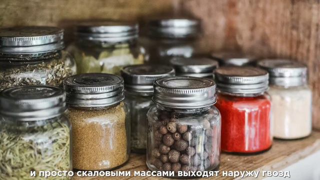 #антипаразитарка#