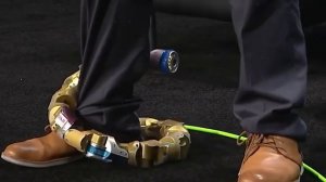 Удивительные Роботы-Животные, Которых Ты Обязан Увидеть