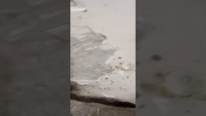 Борьба с плесенью дедовскими способами