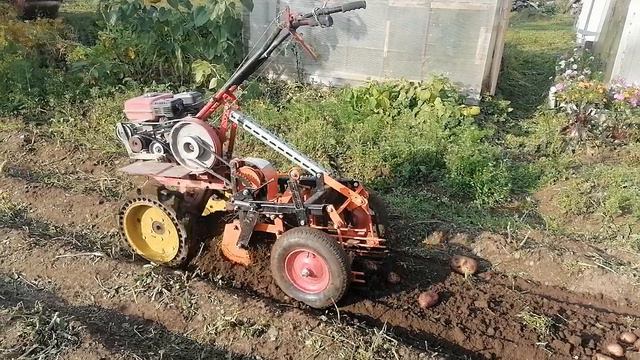 Картофелекопалка сама копает картошку