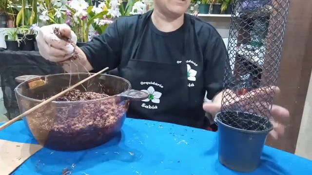 Como Replantar Orquideas смотреть онлайн