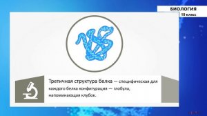 10 класс - РУ - Биолгия - №3 - Химический состав клетки.