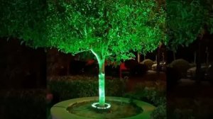 СВЕТОДИОДНАЯ ПОДСВЕТКА ДЕРЕВЬЕВ