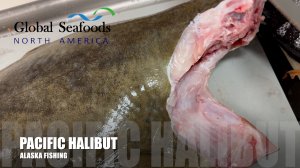 Mastering Filleting: Giant Pacific Halibut Technique Global Seafoods Fish Market and Cooking Show