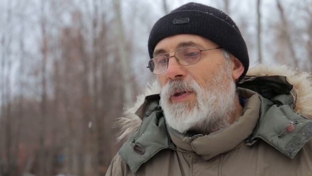 Зимовка пчел смотреть онлайн