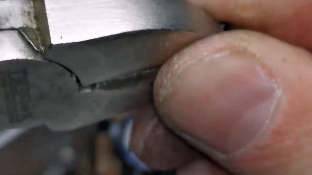 позолото в импортных полубочонках