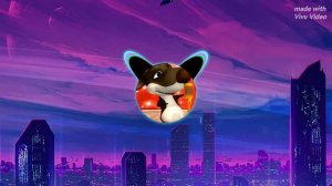 а где прошла ты (ремикс)