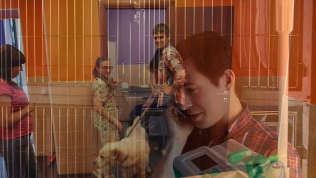 ветеринарная клиника Микрогород в лесу смотреть онлайн