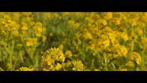Май 2020 природа Шатурторф