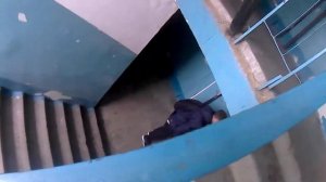 SSSR. Подъём на 9 этаж