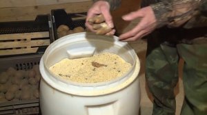 Хранение овощей