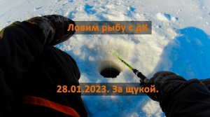 Рыбалка на Амуре. дК ловит щуку. 28 января 2023.