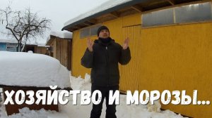 Про индюков, кур бройлеров, лопнувшие яйца и новый пол в кухне деревенского дома!