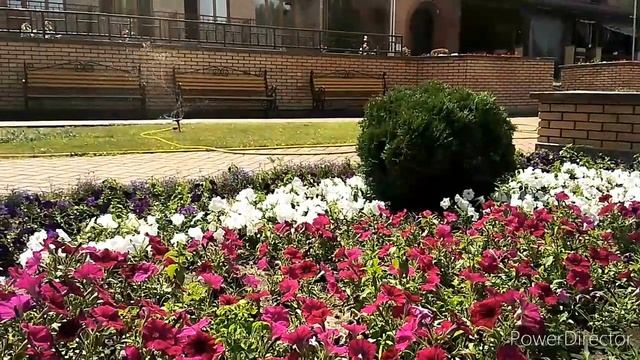 Отпуск. Ура. Как я провела первый день отпуска смотреть онлайн