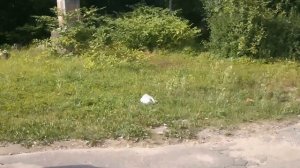 Центр города Окуловки в Новогородской области.