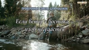 ДЛЯ РЫБАЛКИ МУДРЫЕ СЛОВА и ПРИМЕТЫ ОТ ЛУЧШИХ РЫБАКОВ / Рыбацкие хитрости и цитаты от профессионалов