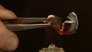 Змея - разложение глюконата кальция