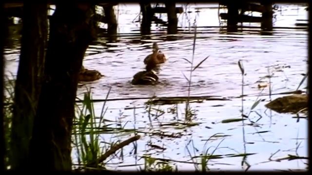 Поход выходного дня.Село Мигея. смотреть онлайн