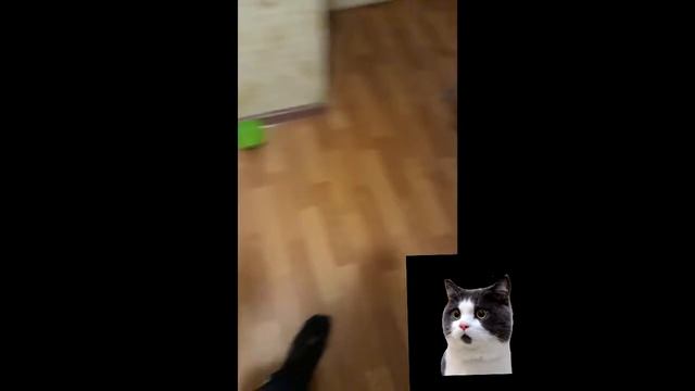 @ГОТОВИМ ЕДУ: КАК ПРИГОТОВИТЬ ЕДУ? ЛЕГКО!@ смотреть онлайн