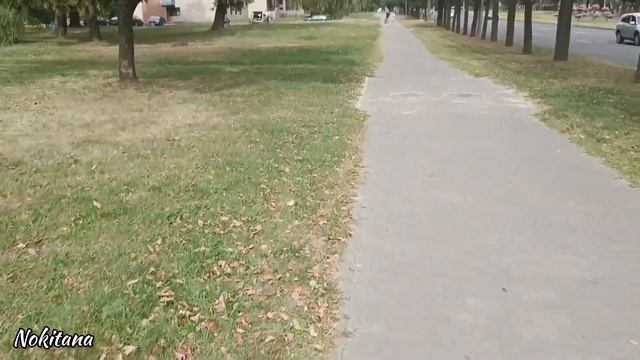 Новые наборы и перенаборы // Мои помощники на кухне // Август 2022г
