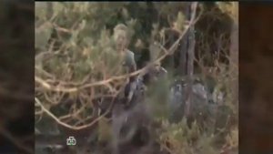 Морские дьяволы. 💞 // Кот + Мура // 💞 . Если ты со мной