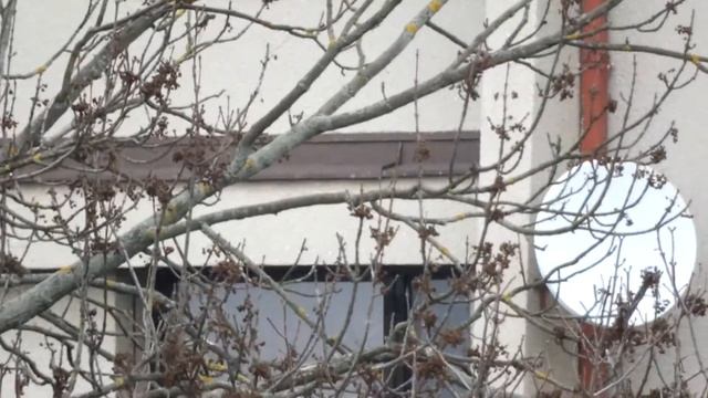 Kodak Pixpro AZ527 - Zooming, Disortion and AutoFocus смотреть онлайн