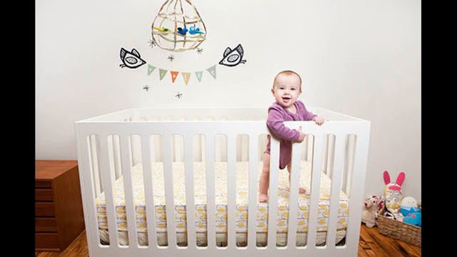 5 ЖИВОТНЫХ КОТОРЫЕ СПАСЛИ ЧЕЛОВЕКА