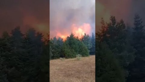 Кадры крупного лесного пожара в Боржоми на юге Грузии