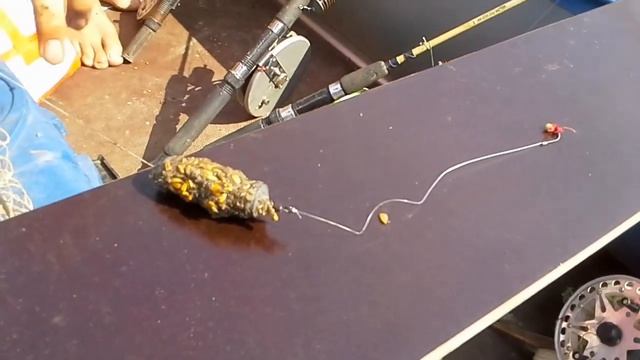 Семейный отдых летом на реке с палатками, 2019. РЫБАЛКА С ЛОДКИ НА ЯЙЦА И ЗАКИДУШКИ. смотреть онлайн