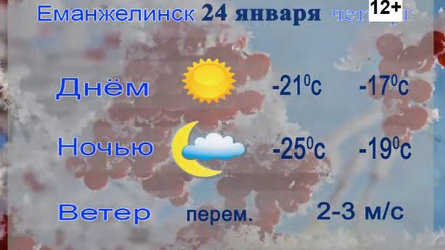 Погода на 24 января.