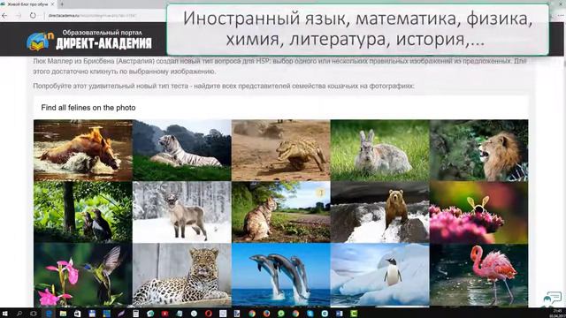 Новые интерактивные элементы по любым предметам