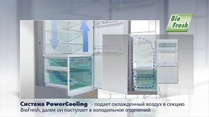 Обзор холодильника Liebherr CBNes 6256