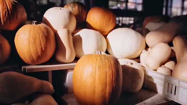 Наша прекрасная Армения смотреть онлайн