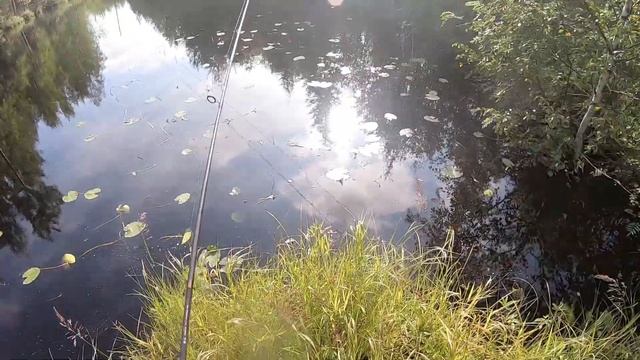 Белое море против горной речки в Карелии || Форель на удочку || Рыбалка в Карелии (Часть 4) смотреть онлайн