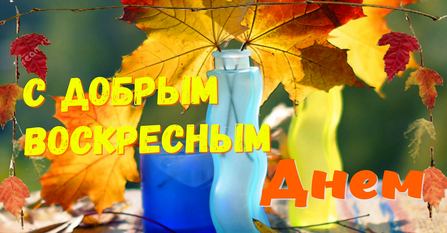 Хорошего Воскресенья!? Замечательного Воскресенья!