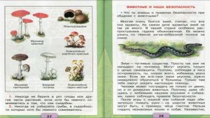 Природа и наша безопасность. Окружающий мир. 3 класс, 2 часть. Учебник А. Плешаков стр. 25-30