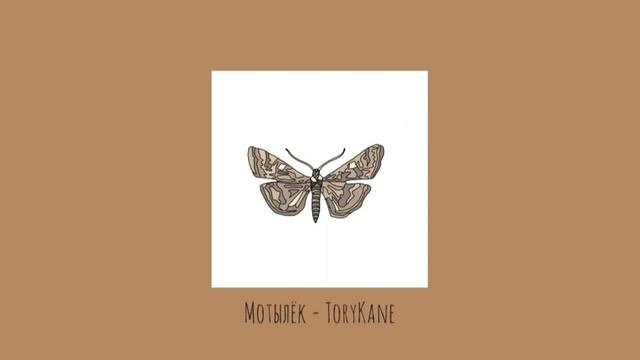 ToryKane - Мотылек