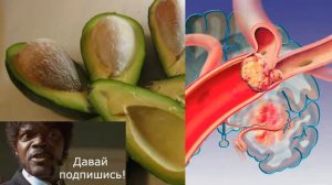 Косточки авокадо стоит ли выбрасывать противоопухолевое противогрибковое антиоксидантное и