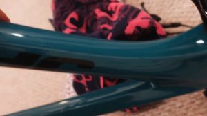 INSTALLING AMS PROTECTION ONTO MY JAMIS BIKES PORTAL!