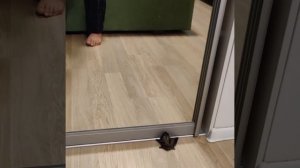 ? Такие гости прилетают в пиковских ЖК «Столичные поляны» пока все спят

Спокойной ночи