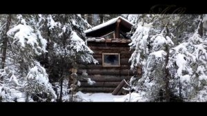 ?/Суровая жизнь отшельника/ Медведь подранок пришел в избушку/