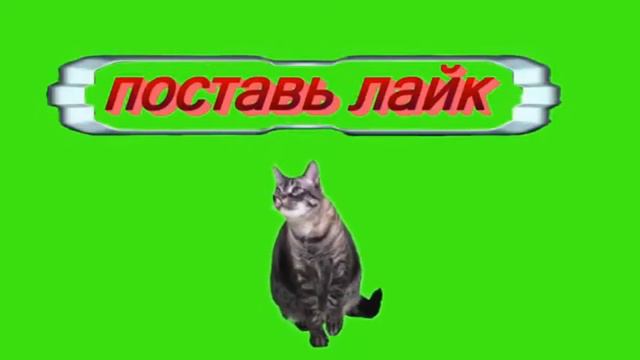 Футаж Подпишись на канал, поставь лайк смотреть онлайн