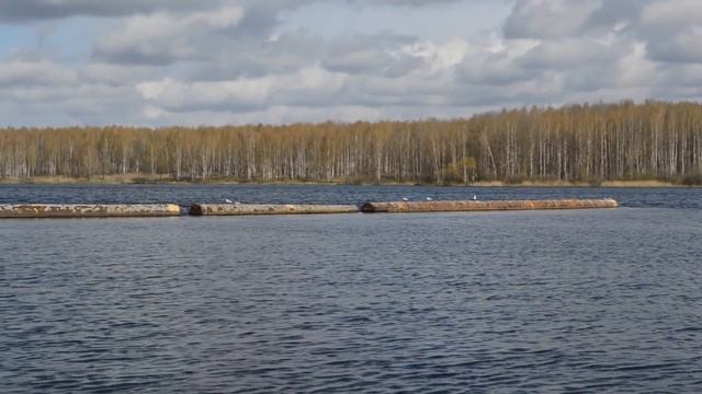 Как поймать много крупной уклейки? смотреть онлайн