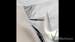 БЫСТРЫЙ СПОСОБ ПРАВИЛЬНО ПОСТАВИТЬ ПУЧЕК 6D НА НАТУРАЛЬНУЮ РЕСНИЧКУ. Наращивание ресниц.